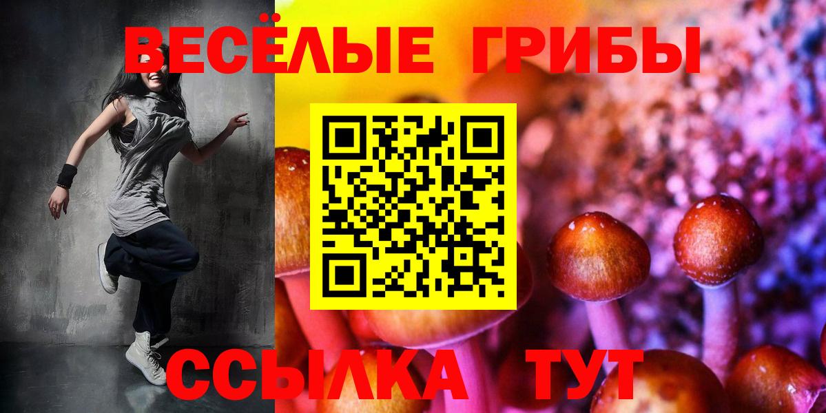Псилоцибиновые грибы MAGIC MUSHROOMS Ростов Великий